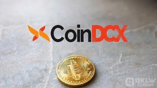 印度交易所CoinDCX推出600萬(wàn)美元投資者保護(hù)基金 圖片