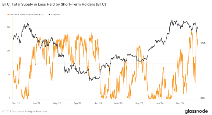 短期持有者遭遇損失，Bitcoin市場(chǎng)面臨考驗(yàn)圖片