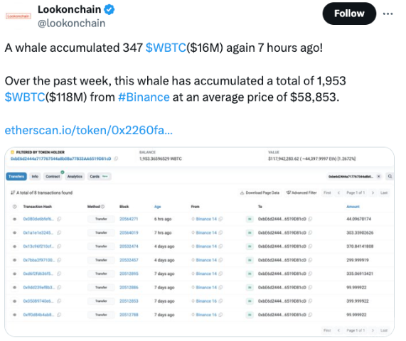 未知鯨魚大舉購(gòu)買1,600萬(wàn)美元Wrapped Bitcoin（ 圖片