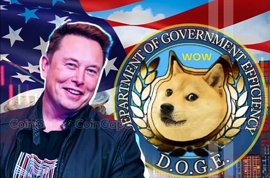 DOGE行動：馬斯克如何用一支非官方團(tuán)隊撬動白宮圖片